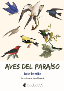 Aves del paraíso (Luisa Etxenike)